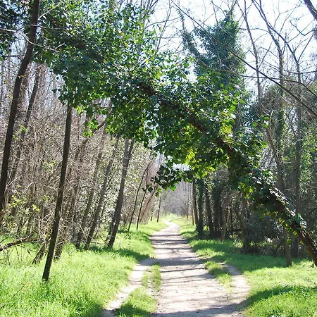 Percorso Ponte Valleceppi