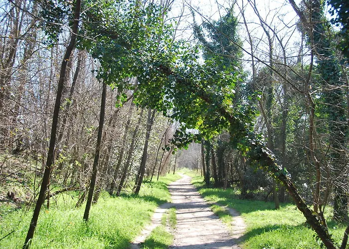 Percorso Ponte Valleceppi